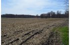Property photo 174 - REAL ESTATE & PERSONAL PROPERTY AUCTION, 140 Acres offered in 8 Tracts or Combinations in Steuben County